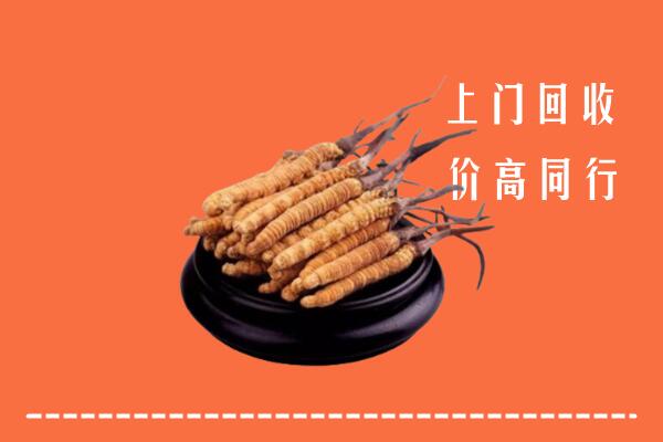 高价求购：恩施州回收散虫草