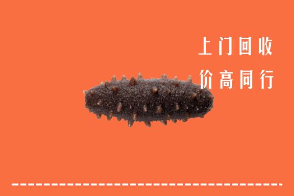 恩施州回收海参
