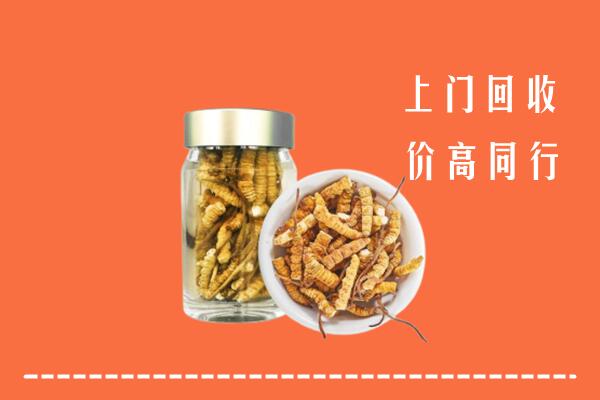 恩施州回收冬虫夏草