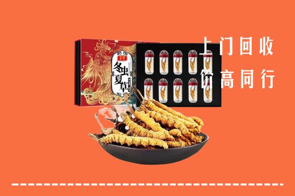 恩施州回收虫草